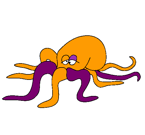 Pulpo