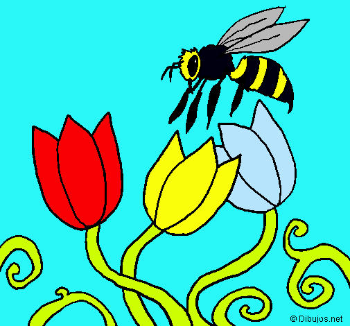 Abeja