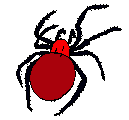 Araña venenosa