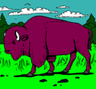 Dibujo Búfalo  pintado por buffalo2