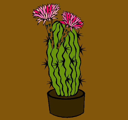 Cactus con flores