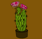 Dibujo Cactus con flores pintado por casz
