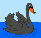 Dibujo Cisne en el agua pintado por Natytax125