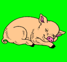 Dibujo Cerdo durmiendo pintado por nadine