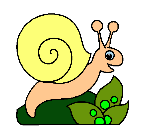 Caracol