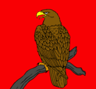 Dibujo Águila en una rama pintado por agila 