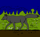 Dibujo Coyote pintado por TRICO