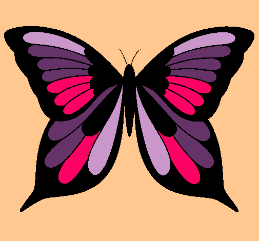 Mariposa