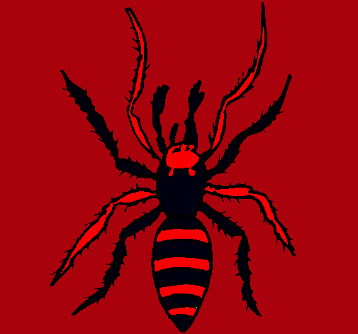 Araña tigre