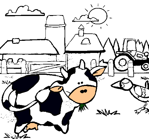 Vaca en la granja