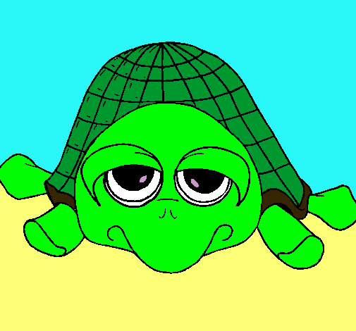 Tortuga