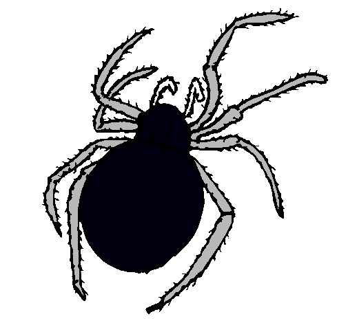 Araña venenosa