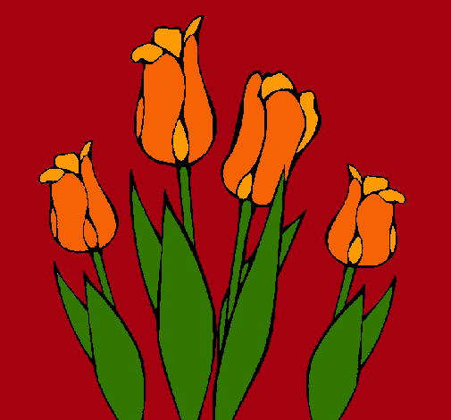 Tulipanes