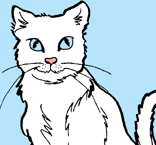 Dibujo Gato pintado por franmeli