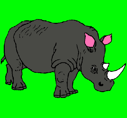Dibujo Rinoceronte pintado por jumar