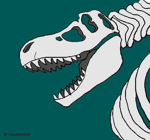 Dibujo Esqueleto tiranosaurio rex pintado por SubZeroMK