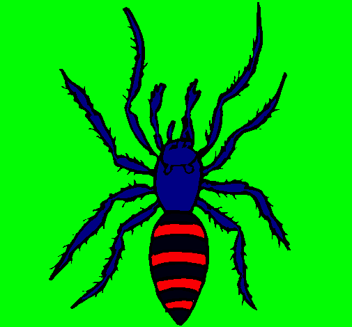 Araña tigre