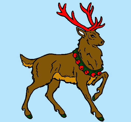 Venado