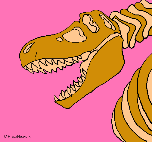 Dibujo Esqueleto tiranosaurio rex pintado por Pantaraya