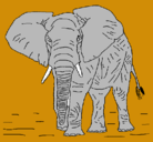 Dibujo Elefante pintado por jumar