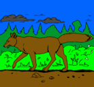 Dibujo Coyote pintado por io7uiui9o