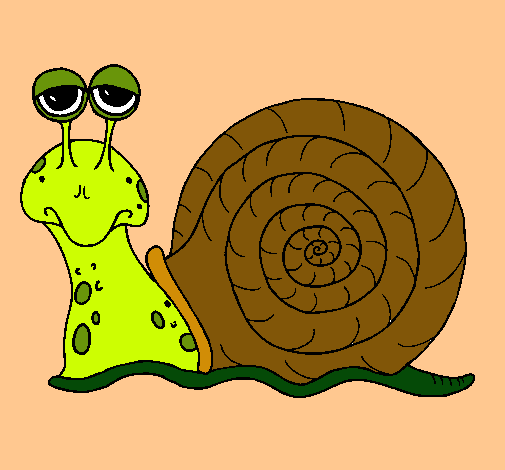 Caracol