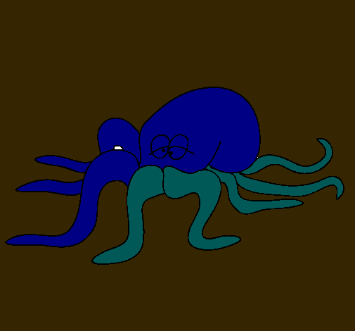 Pulpo