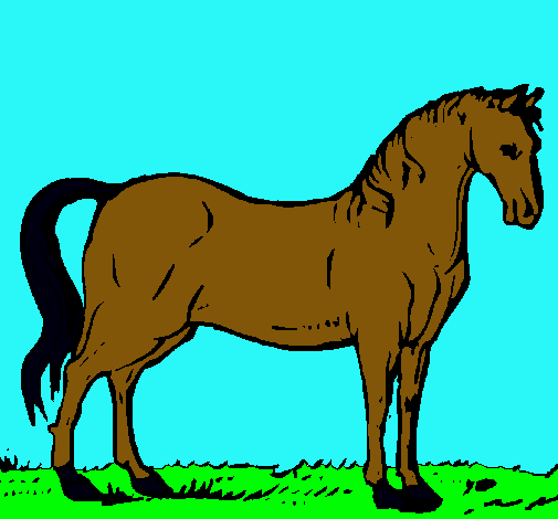 Caballo andaluz