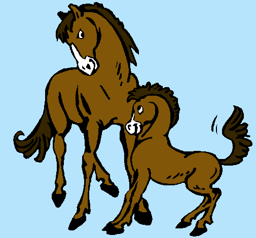 Caballos