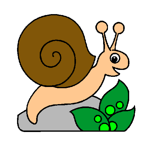 Caracol