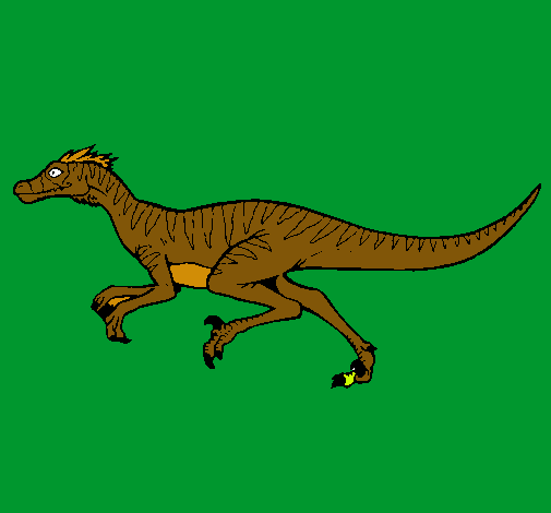 Velociraptor