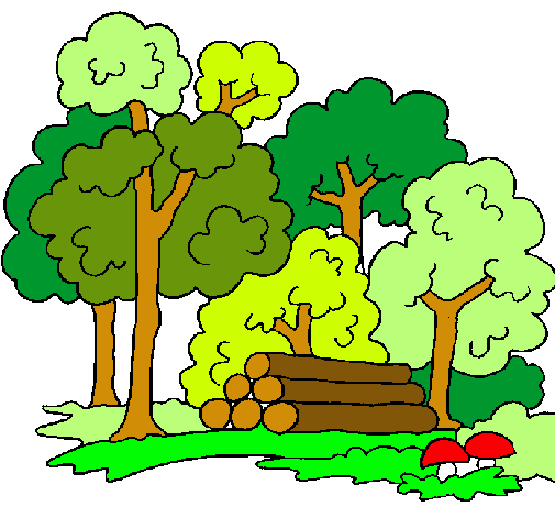  Dibujo de Bosque pintado por Verdes en Dibujos.net el día