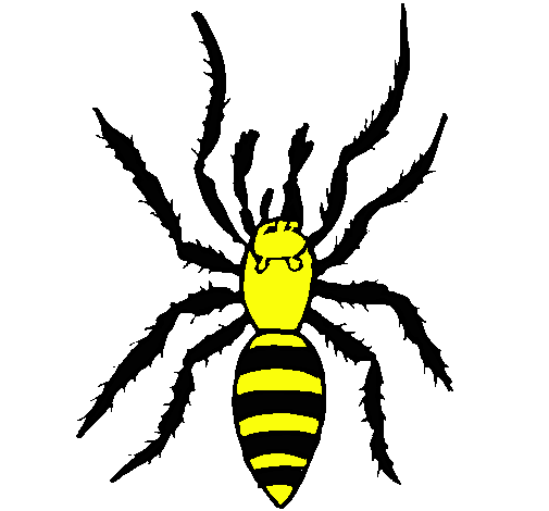 Araña tigre