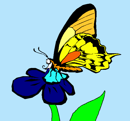 Mariposa en una flor