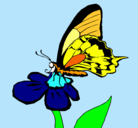Dibujo Mariposa en una flor pintado por Toriy_vikk