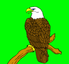 Dibujo Águila en una rama pintado por aimartxo