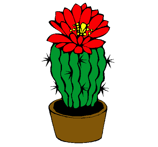 Cactus con flor