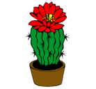 Dibujo Cactus con flor pintado por aldo