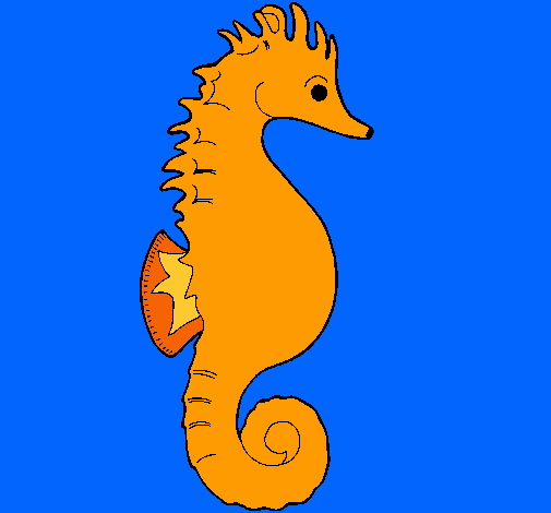 Caballito de mar