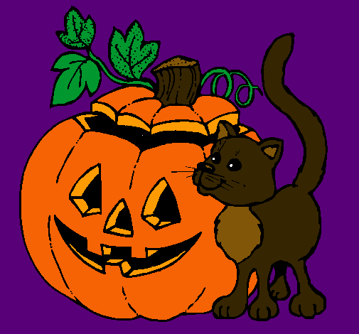 Calabaza y gato