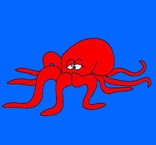 Pulpo