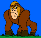 Dibujo Gorila pintado por guara