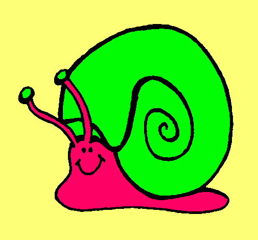 Caracol 