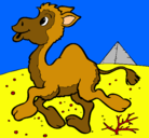 Dibujo Camello pintado por julietas