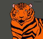 Dibujo Tigre pintado por DarkNight