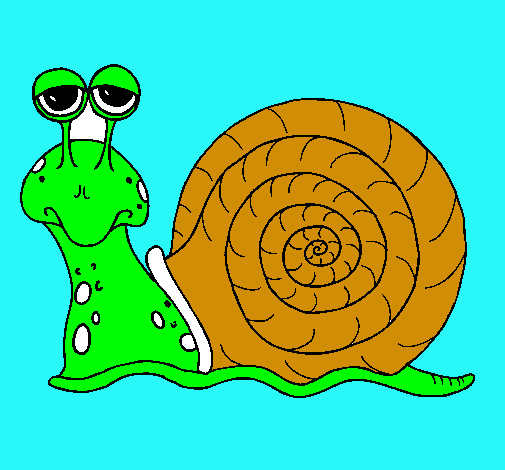 Caracol