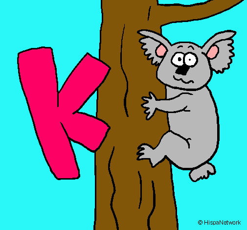 Koala