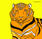 Dibujo Tigre pintado por TIGRESAURIO