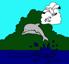 Dibujo Delfín y gaviota pintado por frank