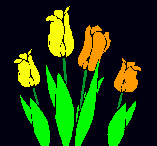 Tulipanes